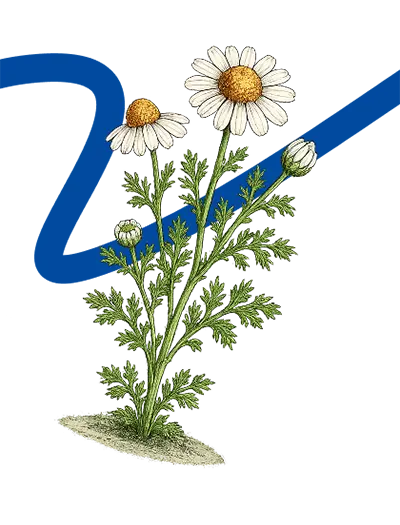 Rumanček